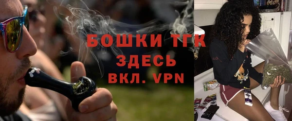прущие грибы Нея