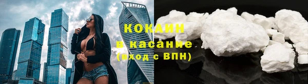 прущие грибы Нея