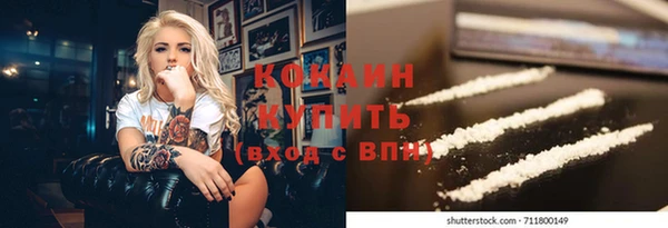 прущие грибы Наволоки