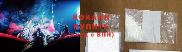 прущие грибы Нея