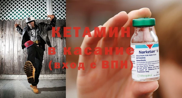 прущие грибы Наволоки