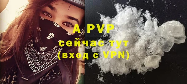 прущие грибы Наволоки