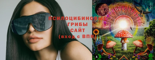 прущие грибы Наволоки