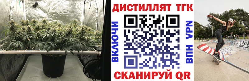 Дистиллят ТГК Wax  МЕГА рабочий сайт  Мышкин 